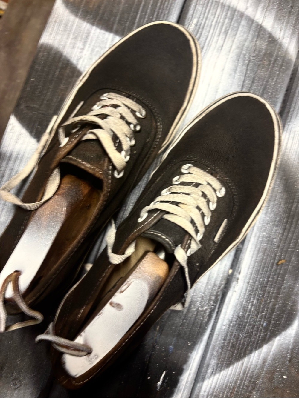Vans Low-Top Canvas Sneakers in Dark Brown with Cream Laces - Picture 5 of 9